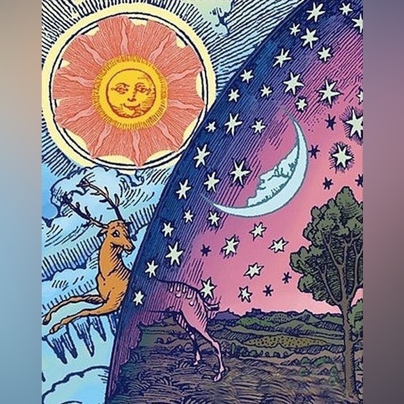 Meet your Posher, Allisonetexposh! - Picture 1 of 1